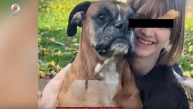 VIDEO O elevă de 15 a adus teroarea în școala creștină. O profesoară și un elev au fost uciși de adolescentă